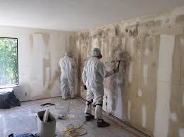 Mold Odor Removal Services in Tignall, GA